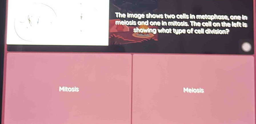 The image shows two cells in metaphase, one in
meiosis and one in mitosis. The cell on the left is
showing what type of cell division?
Mitosis Meiosis