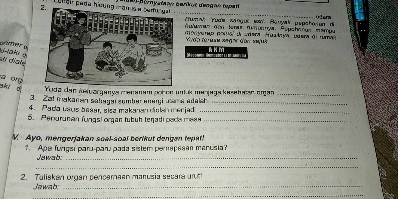 uuan-pernyataan berikut dengan tepat! 
Lendir pada hidun 
_ 
udara. 
Rumah Yuda sangat asri. Banyak pepohonan di 
halaman dan teras rumahnya. Pepohonan mampu 
menyerap polusi di udara. Hasilnya, udara di rumah 
Yuda terasa segar dan sejuk. 
primer d 
AKM 
ki-laki d 
(Asesmen Kompetensi Minimum) 
sti diala 
a org 
aki d Yuda dan keluarganya menanam pohon untuk menjaga kesehatan organ_ 
3. Zat makanan sebagai sumber energi utama adalah_ 
4. Pada usus besar, sisa makanan diolah menjadi_ 
5. Penurunan fungsi organ tubuh terjadi pada masa_ 
V. Ayo, mengerjakan soal-soal berikut dengan tepat! 
1. Apa fungsi paru-paru pada sistem pernapasan manusia? 
Jawab:_ 
_ 
2. Tuliskan organ pencernaan manusia secara urut! 
Jawab:_ 
_