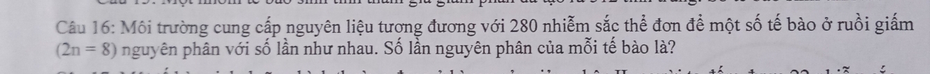 Môi trường cung cấp nguyên liệu tương đương với 280 nhiễm sắc thể đơn để một số tế bào ở ruồi giấm
(2n=8) nguyên phân với số lần như nhau. Số lần nguyên phân của mỗi tế bào là?