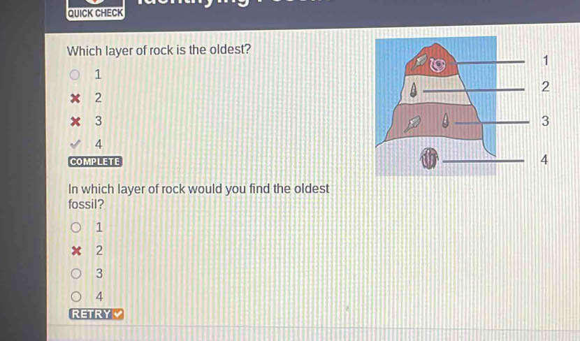 QUICK CHECK
Which layer of rock is the oldest?
1
2
3
4
COMPLETE
In which layer of rock would you find the oldest
fossil?
1
2
3
4
RETRY