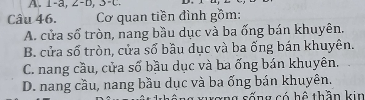 1 -a, 2 - b, 3 -c.

Câu 46. Cơ quan tiền đình gồm:
A. cửa số tròn, nang bầu dục và ba ống bán khuyên.
B. cửa số tròn, cửa sổ bầu dục và ba ống bán khuyên.
C. nang cầu, cửa sổ bầu dục và ba ống bán khuyên.
D. nang cầu, nang bầu dục và ba ống bán khuyên.
xương sống có hệ thần kin