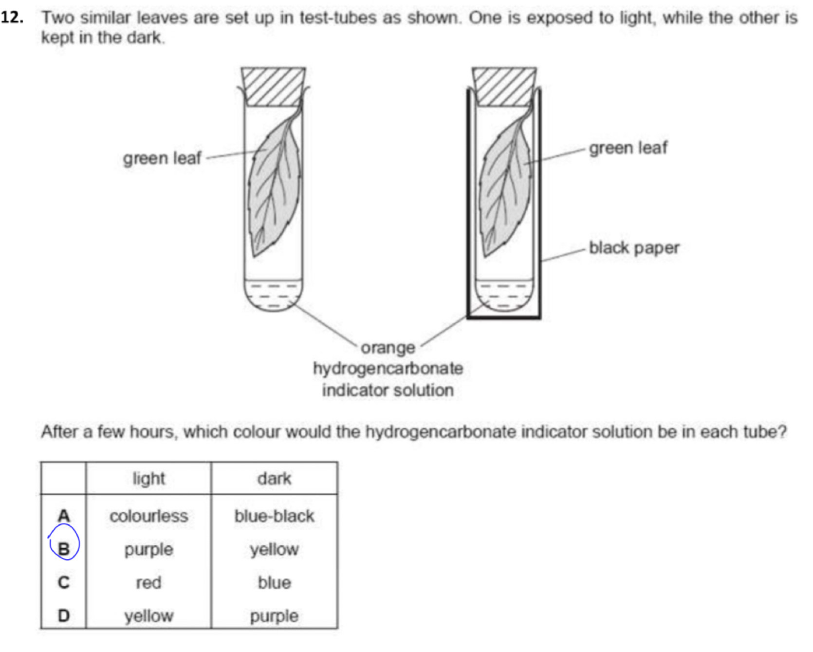 Two similar leaves are set up in test-tubes as shown. One is exposed to light, while the other is 
kept in the dark. 
After a few hours, which colour would the hydrogencarbonate indicator solution be in each tube?