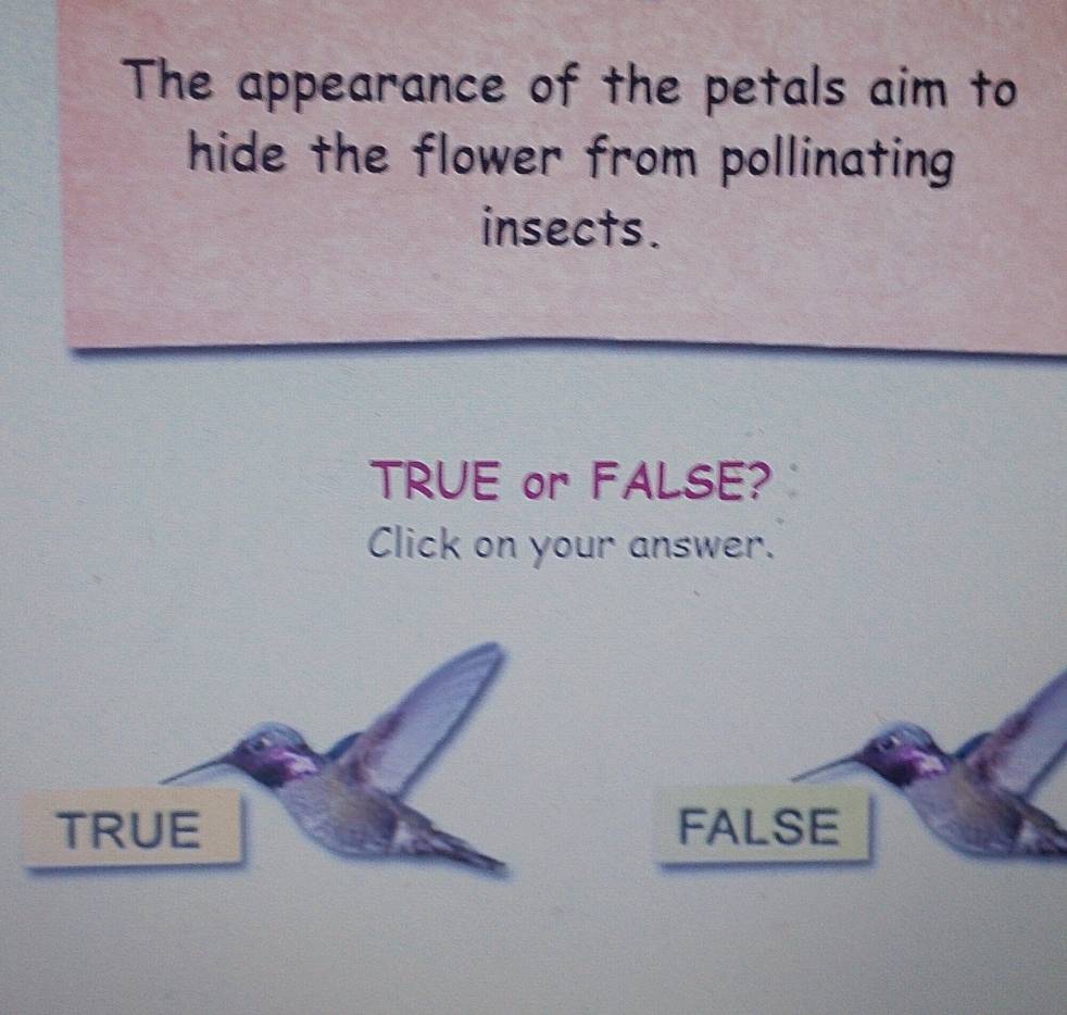 The appearance of the petals aim to
hide the flower from pollinating
insects.
TRUE or FALSE?
Click on your answer.
TRUE FALSE