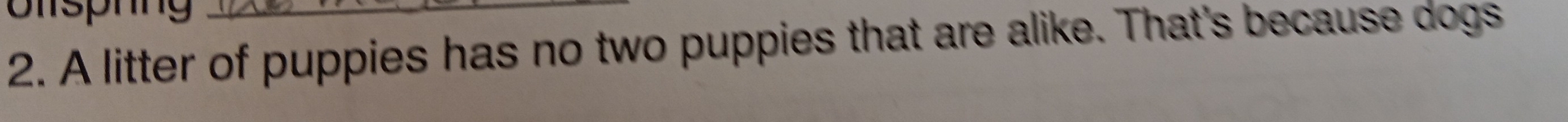 onsphng 
2. A litter of puppies has no two puppies that are alike. That's because dogs
