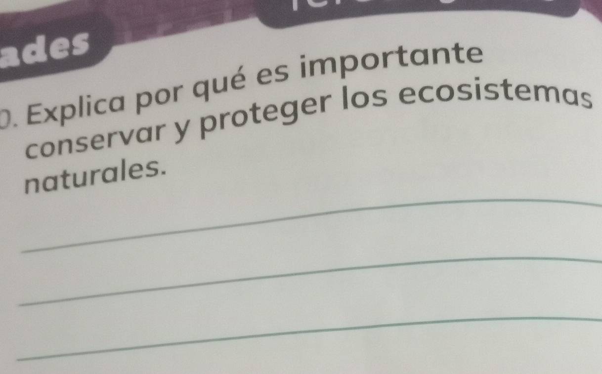 ades 
0. Explica por qué es importante 
conservar y proteger los ecosistemas 
_ 
naturales. 
_ 
_