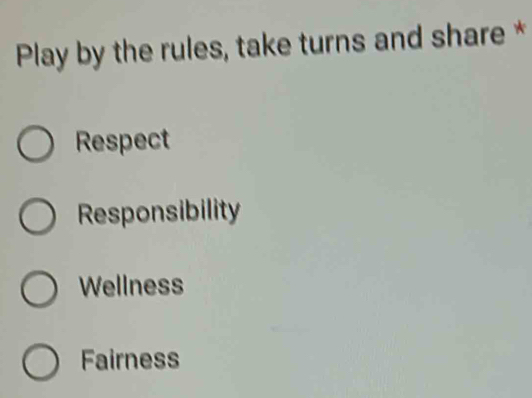 Play by the rules, take turns and share *
Respect
Responsibility
Wellness
Fairness