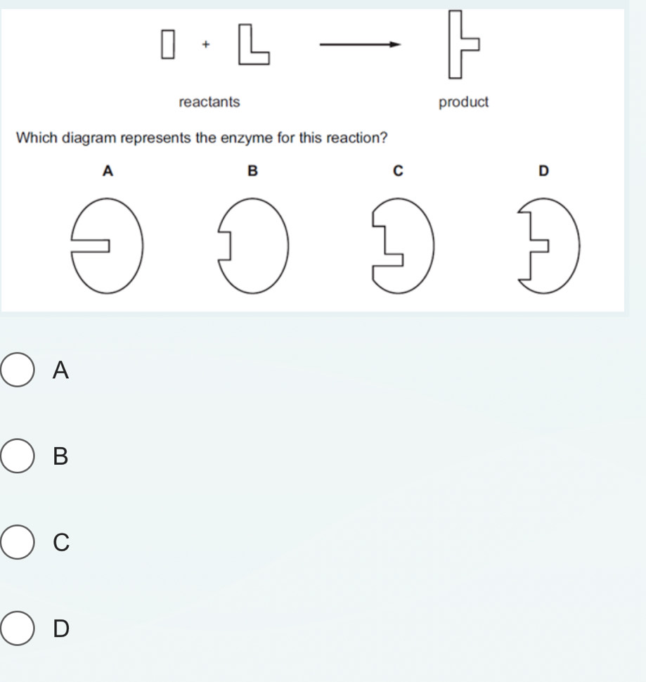 square +□ 
reactants product
Which diagram represents the enzyme for this reaction?
A
B
C
D
A
B
C
D