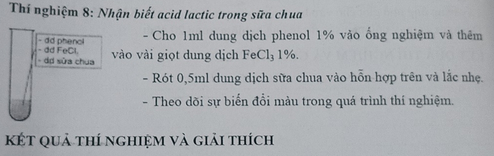 Thí nghiệm 8: Nhận biết acid lactic trong sữa chua 
- dd phenal - Cho 1ml dung dịch phenol 1% vào ống nghiệm và thêm 
- dd FeCl, 
- dợ sửa chua vào vài giọt dung dịch FeCl₃ 1%. 
- Rót 0,5ml dung dịch sữa chua vào hỗn hợp trên và lắc nhẹ. 
- Theo dõi sự biến đồi màu trong quá trình thí nghiệm. 
kết quả thí nghiệm và giải thích