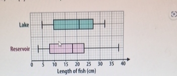 Length of fish (cm)