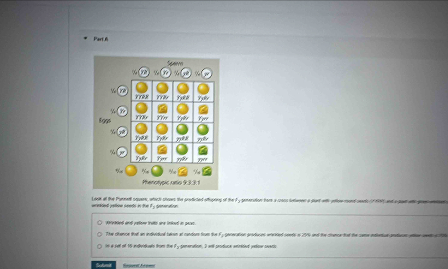 Look at the Punnettl square, which shows the predicted offsoring of the F- generation from a cross setween a pant with pelew cound seeds f 19 and a cent wtts gu
winkled yellow seads in t F_2
Wirinkled and yellow traits are linked in peas.
The chance that an individuall taken at random from the s_2 generation produces wrinkled seeds n 27% and the clance fat the same ediedial producas eh sn 
In a se of 16 indviduals from the F_2 generation, 3 will próducs wrinided peow seeds 
Set mid Geuest Aroent