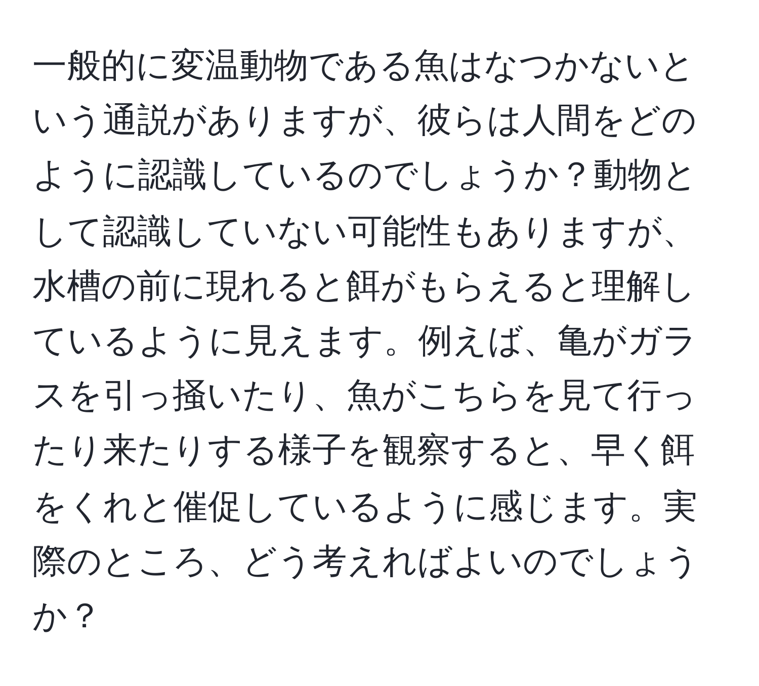 一般的に変温動物である魚はなつかないという通説がありますが、彼らは人間をどのように認識しているのでしょうか？動物として認識していない可能性もありますが、水槽の前に現れると餌がもらえると理解しているように見えます。例えば、亀がガラスを引っ掻いたり、魚がこちらを見て行ったり来たりする様子を観察すると、早く餌をくれと催促しているように感じます。実際のところ、どう考えればよいのでしょうか？