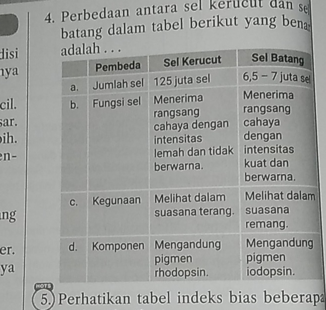 Perbedaan antara sel kerucut dan se 
batang dalam tabel berikut yang bena 
disi 
ya 
cil. 
sar. 
ih. 
en- 
m 
ng 
er. 
ya 
HO 
5. Perhatikan tabel indeks bias beberapa