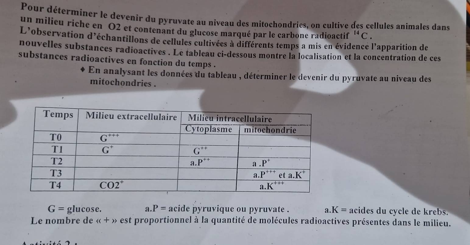 Pour déterminer le devenir du pyruvate au niveau des mitochondries, on cultive des cellules animales dans
un milieu riche en O2 et contenant du glucose marqué par le carbône radioactif^(14)C.
L'observation d'échantillons de cellules cultivées à différents temps a mis en évidence l'apparition de
nouvelles substances radioactives . Le tableau ci-dessous montre la localisation et la concentration de ces
substances radioactives en fonction du temps .
En analysant les données du tableau , déterminer le devenir du pyruvate au niveau des
mitochondries .
a. P=
G= glucos e. acide pyruvique ou pyruvate . a. K= acides du cycle de krebs.
Le nombre de <<+>> est proportionnel à la quantité de molécules radioactives présentes dans le milieu.