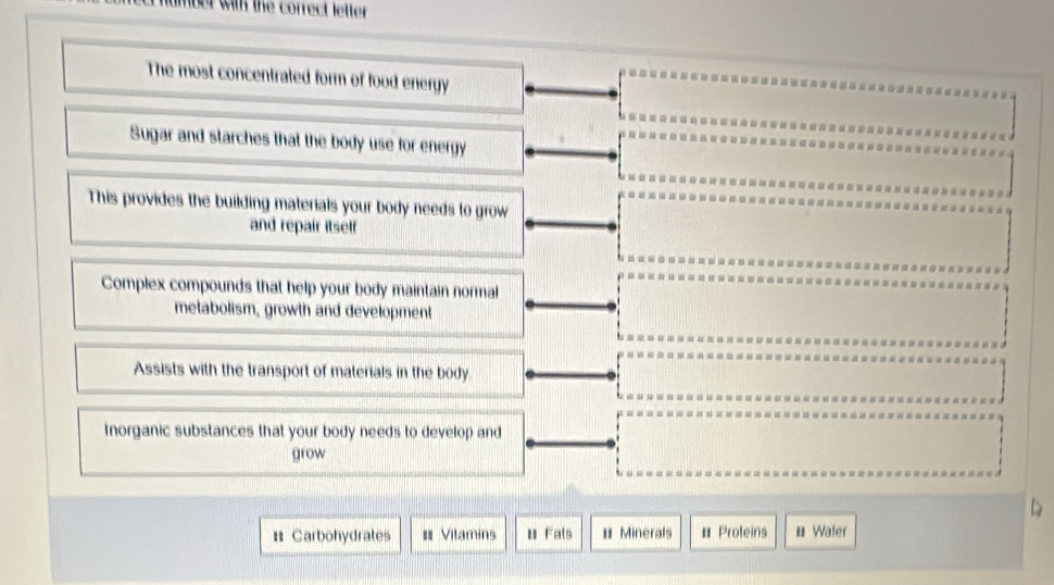 mber with the correct letter . 
The most concentrated form of food energy 
Sugar and starches that the body use for energy 
This provides the building materials your body needs to grow 
and repair itself 
Complex compounds that help your body maintain normal 
metabolism, growth and development 
Assists with the transport of materials in the body. 
Inorganic substances that your body needs to develop and 
grow 
= Carbohydrates # Vitamins u Fals = Minerals * Proteins * Water