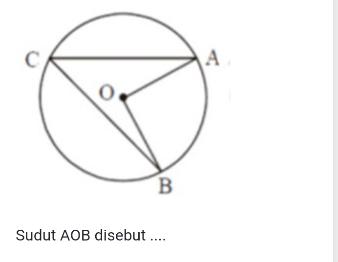 Sudut AOB disebut ....