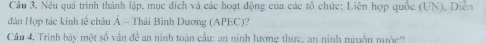 Câu 3, Nêu quả trình thành lập, mục dích và các hoạt động của các tô chức: Liên hợp quốc (UN), Diễn 
dàn Hợp tác kinh tế châu Á - Thái Bình Dương (APEC)? 
Câu 4. Trinh báy một số vấn đề an ninh toàn cầu: an ninh lương thực, an ninh nguồn nước?