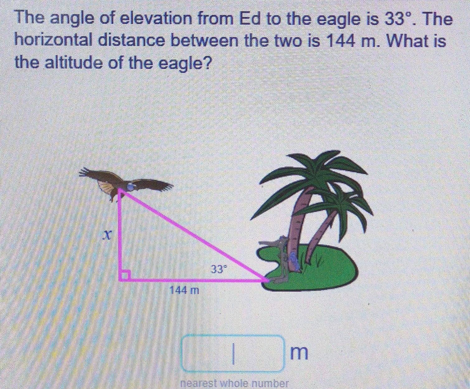 The angle of elevation from Ed to the eagle is 33°. The
horizontal distance between the two is 144 m. What is
the altitude of the eagle?
m
nearest whole number