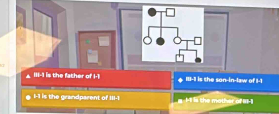 2
111=1 is the father of I -1 III -1 is the son-in-law of I -1
I -1 is the grandparent of 111-1 I -1 is the mother of III -1
1