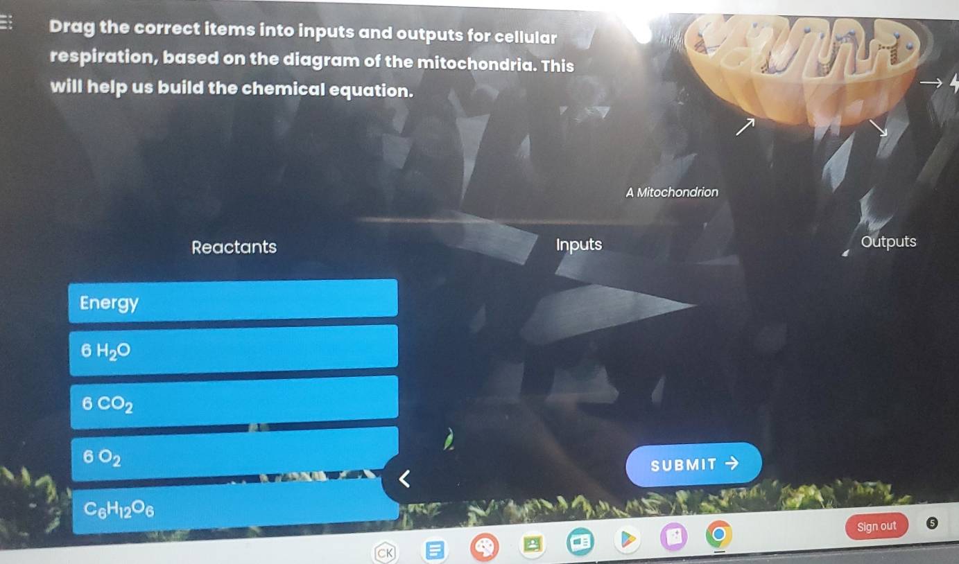 Drag the correct items into inputs and outputs for cellular 
respiration, based on the diagram of the mitochondria. This 
will help us build the chemical equation. 
A Mitochondrion 
Reactants Inputs Outputs 
Ene 'gy
6 H_2O
6CO_2
6O_2
SUBMIT
C_6H_12O_6
Sign out