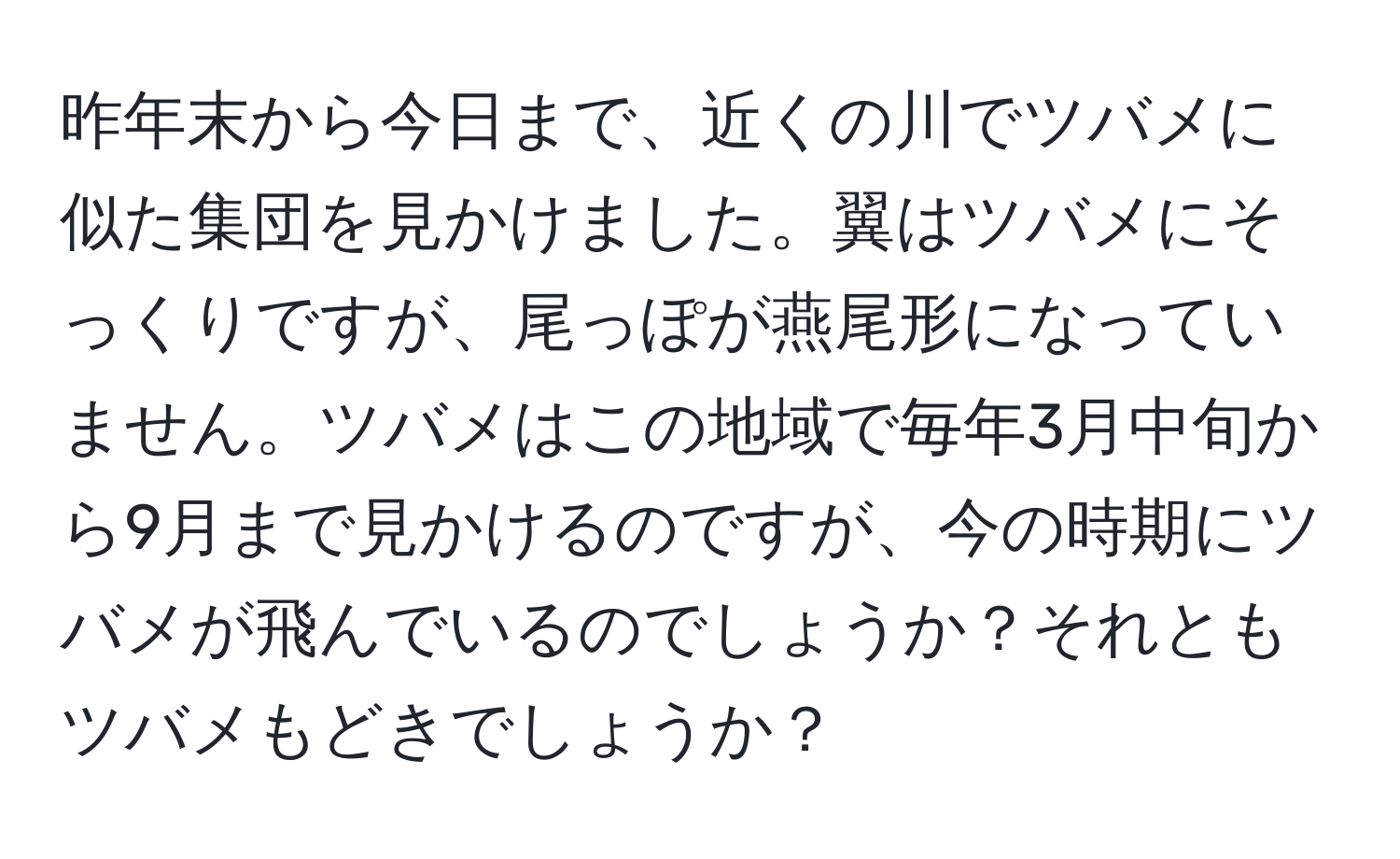 昨年末から今日まで、近くの川でツバメに似た集団を見かけました。翼はツバメにそっくりですが、尾っぽが燕尾形になっていません。ツバメはこの地域で毎年3月中旬から9月まで見かけるのですが、今の時期にツバメが飛んでいるのでしょうか？それともツバメもどきでしょうか？