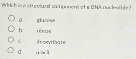 Which is a structural component of a DNA nucleotide?
a glucose
b ribose
C deoxyribose
d uracil