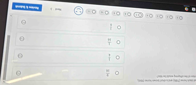 all black horse (T166) and a short brown horse (11bb).
roon of the offspring would be tibb ?
 9/16 
 1/4 
 1/16 
 1/8 
Next
10 n Review & Submit
