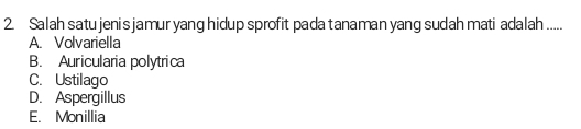 Salah satu jenis jamur yang hidup sprofit pada tanaman yang sudah mati adalah .....
A. Volvariella
B. Auricularia polytrica
C. Ustilago
D. Aspergillus
E. Monillia