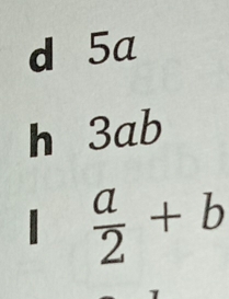 5a
h 3ab
|  a/2 +b