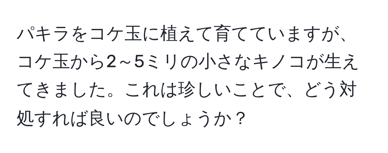 パキラをコケ玉に植えて育てていますが、コケ玉から2～5ミリの小さなキノコが生えてきました。これは珍しいことで、どう対処すれば良いのでしょうか？