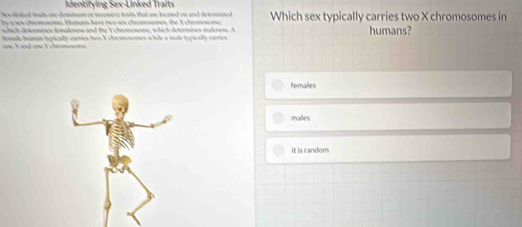 Identifying Sex-Linked Traits
Sex-linked traits are dominant or recessive traits that are located on and determined
by a sexchromosome. Humans have two sex chromosomes, the X chromosome, Which sex typically carries two X chromosomes in
wshich determines fomaloness and the Y chromosome, which determines maloness. A humans?
female buman typically-carries two X chromosomes while a male typically carries
ne X a nd one V chromesome
females
males
it is random