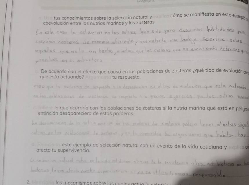 Geographic 
Usa tus conocimientos sobre la selección natural y a có mo se manifiesta en este ejemplo d 
coevolución entre las nutrias marinas y las zosteras. 
_ 
_ 
_ 
_ 
De acuerdo con el efecto que causa en las poblaciones de zosteras ¿qué tipo de evolución de 
que está actuando? _tu respuesta. 
_ 
_ 
_lo que ocurriría con las poblaciones de zosteras si la nutria marina que está en peligr 
extinción desapareciera de estas praderas. 
_ 
_ 
_este ejemplo de selección natural con un evento de la vida cotidiana y 
afecta tu supervivencia. 
_ 
_ 
2 M e c o n a los mecanismo s sobre los cu a es ac ú a