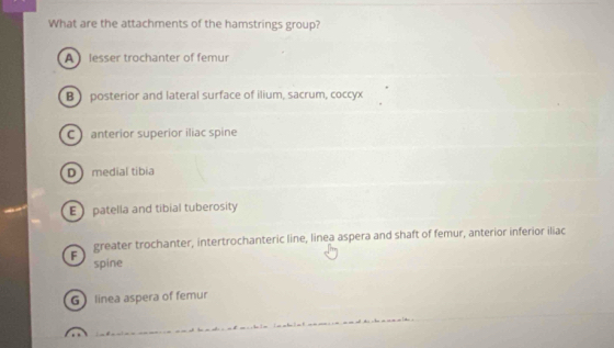 What are the attachments of the hamstrings group?
A lesser trochanter of femur
B posterior and lateral surface of ilium, sacrum, coccyx
C anterior superior iliac spine
D medial tibia
E  patella and tibial tuberosity
greater trochanter, intertrochanteric line, linea aspera and shaft of femur, anterior inferior iliac
F spine
G linea aspera of femur