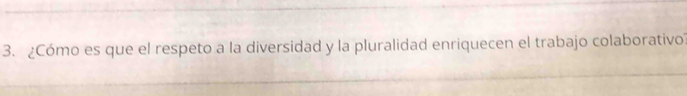 ¿Cómo es que el respeto a la diversidad y la pluralidad enriquecen el trabajo colaborativo?