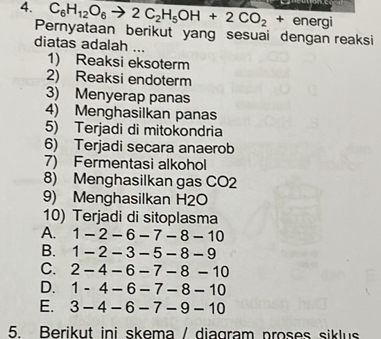 C_6H_12O_6to 2C_2H_5OH+2CO_2+ energi
Pernyataan berikut yang sesuai dengan reaksi
diatas adalah ...
1) Reaksi eksoterm
2) Reaksi endoterm
3) Menyerap panas
4) Menghasilkan panas
5) Terjadi di mitokondria
6) Terjadi secara anaerob
7) Fermentasi alkohol
8) Menghasilkan gas CO2
9) Menghasilkan H2O
10) Terjadi di sitoplasma
A. 1-2-6-7-8-10
B. 1-2-3-5-8-9
C. 2-4-6-7-8-10
D. 1-4-6-7-8-10
E. 3-4-6-7-9-10
5. Berikut ini skema / diagram proses siklus