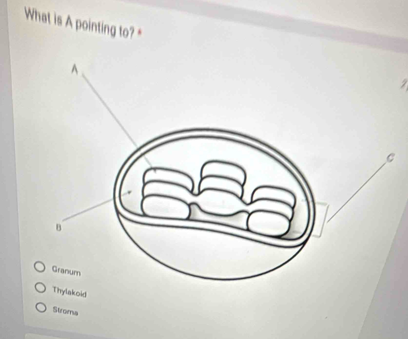 What is A pointing to?*
Thylakoid
Stroma