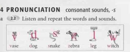 PRONUNCIATION consonant sounds, -s
a 2.2 Listen and repeat the words and sounds.
vase dog snake zebra leg witch