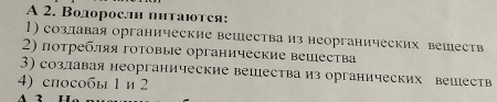 A 2. Водоросл питаιтея: 
1) созлавая органические вешества из неорганических вешеств 
2) потребляя готовые органические вешества 
3) создавая неорганические вещества из органических вешеств 
4) споcобы 1 и 2