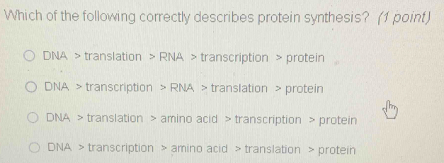 Which of the following correctly describes protein synthesis? (1 point)
DNA > translation > RNA > transcription > protein
DNA > transcription > RNA > translation > protein
DNA > translation > amino acid > transcription > protein
DNA > transcription > amino acid > translation > protein