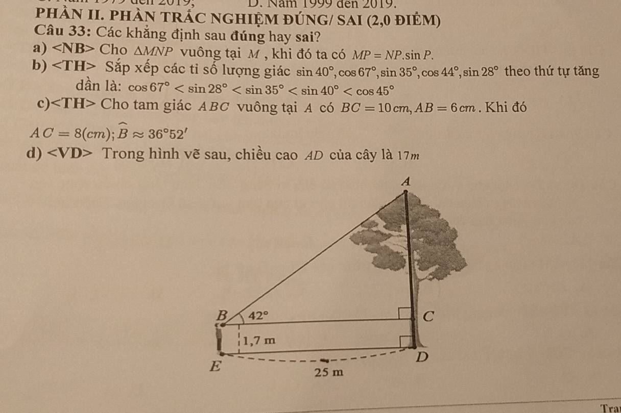 dcn 2019. D. Năm 1999 đến 2019.
phàN II. phàn trấC nghiệm đúnG/ sAI (2,0 điêm)
Câu 33: Các khẳng định sau đúng hay sai?
a) ∠ NB> Cho △ MNP vuông tại M , khi đó ta có MP=NP.sin P.
b) Sắp xếp các tỉ số lượng giác sin 40°,cos 67°,sin 35°,cos 44°,sin 28° theo thứ tự tăng
dần là: cos 67°
c) Cho tam giác ABC vuông tại A có BC=10cm,AB=6cm. Khi đó
AC=8(cm);widehat Bapprox 36°52'
d) Trong hình vẽ sau, chiều cao AD của cây là 17m
Tra