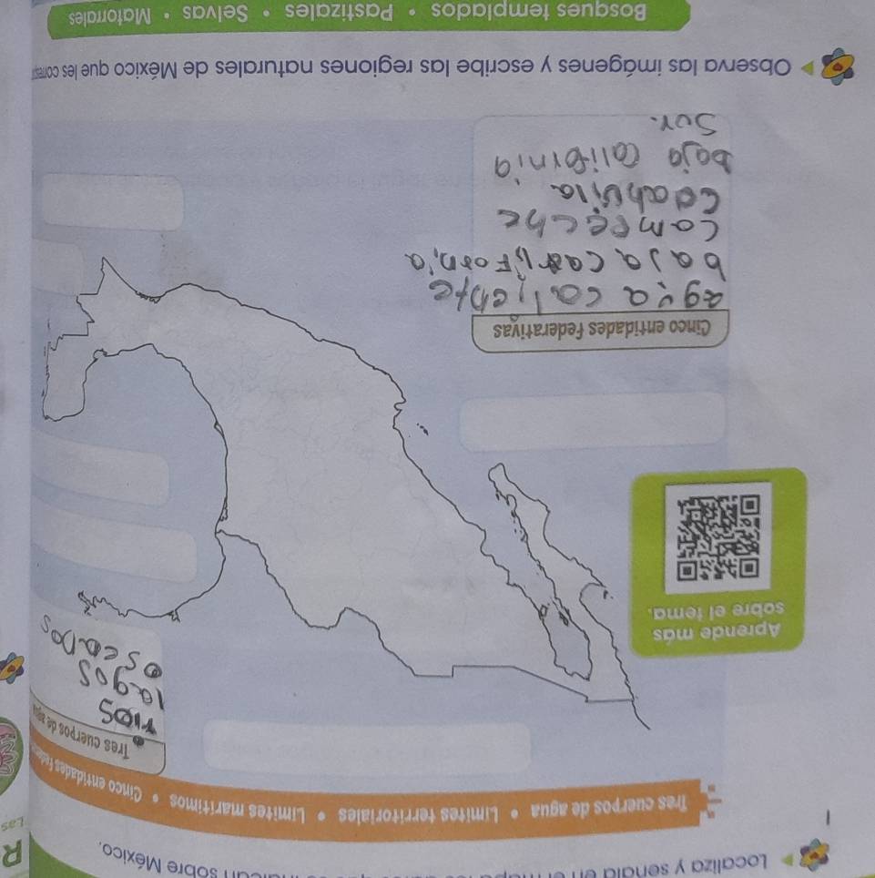 Localiza y senala en Il sobre México R 
Las 
Observa las imágenes y escribe las regiones naturales de Méxicco que les core 
Bosques templados • Pastizales • Selvas • Matorrales