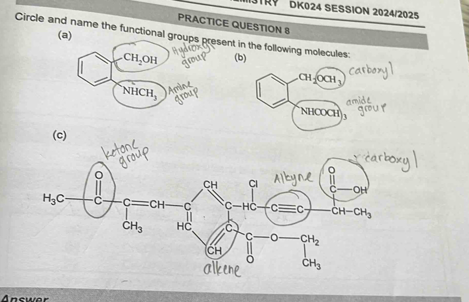 3TRY DK024 SESSION 2024/2025
PRACTICE QUESTION 8
Circle and name the functional nt in the following molecules:(
(b)
CH_2OCH_3
NHCOCH 3
Answer