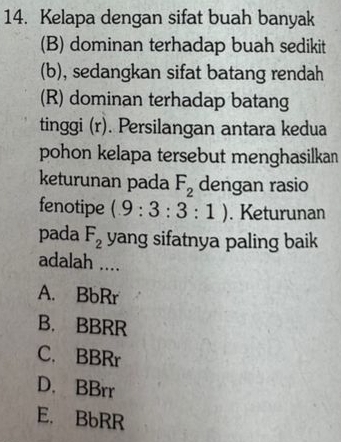 Kelapa dengan sifat buah banyak
(B) dominan terhadap buah sedikit
(b), sedangkan sifat batang rendah
(R) dominan terhadap batang
tinggi (r). Persilangan antara kedua
pohon kelapa tersebut menghasilkan
keturunan pada F_2 dengan rasio
fenotipe (9:3:3:1). Keturunan
pada F_2 yang sifatnya paling baik
adalah ....
A. BbRr
B. BBRR
C. BBRr
D. BBrr
E. BbRR