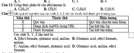 A. 1. B. 2. C. 3. D. 4.
Câu 13: Công thức phân tử của ethylamine là
A. C_4H_11N. B. CH·N. C. C_3H_9N D. C_2H_1N.
Câu Kết quả thí nghiệm của các chất X, Y, Z với các thuốc thử được ghi ở bảng sau:
Các chất X, Y, Z lần lượt là:
A. Ethyl formate, glutamic acid, aniline. B. Glutamic acid, ethyl formate,
aniline.
C. Aniline, ethyl formate, glutamic acid. D. Glutamic acid, aniline, ethyl
formate.