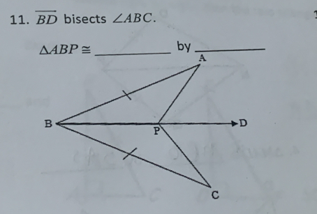 overline BD bisects ∠ ABC.