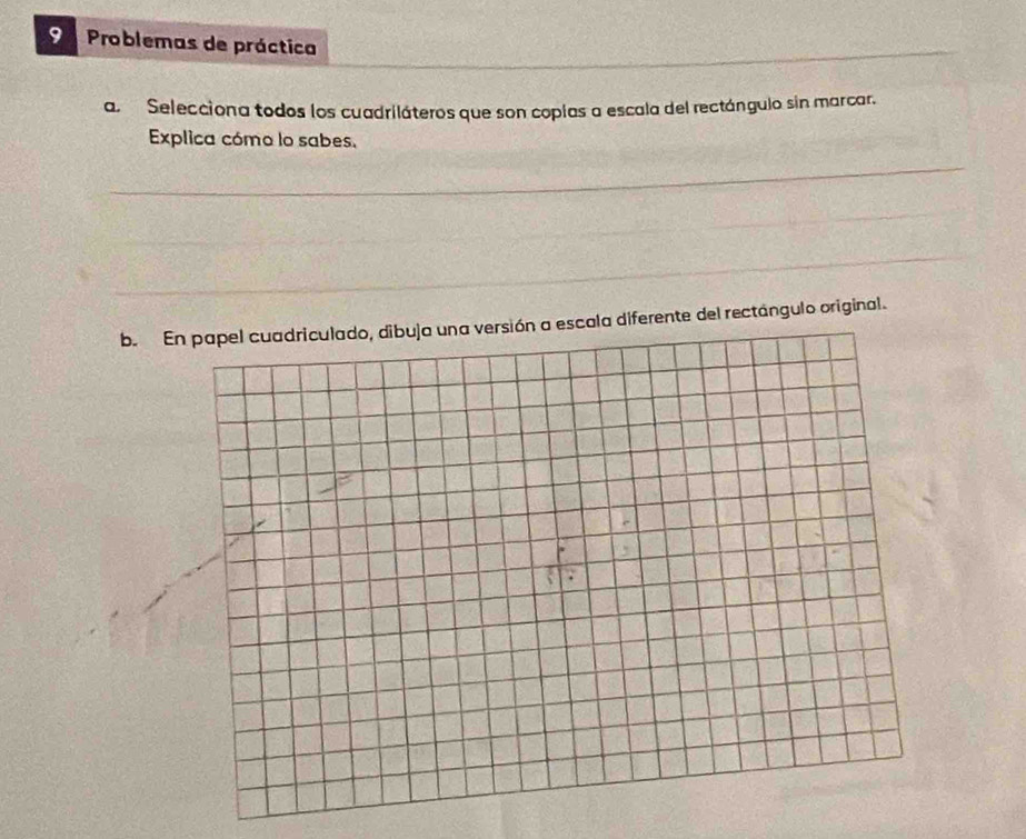 a Problemas de práctica 
a. Selecciona todos los cuadriláteros que son coplas a escala del rectángulo sin marcar. 
Explica cómo lo sabes, 
b. En papel cuadriculado, dibuja una versión a escala diferente del rectángulo original.