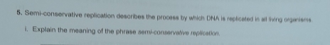 Semi-conservative replication describes the process by which DNA is replicated in all living organisms 
i. Explain the meaning of the phrase semi-conservative reptication.