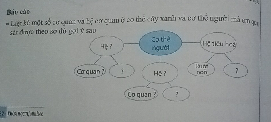 gu 
Báo cáo 
Liệt kê một số cơ quan và hệ cơ quan ở cơ thể cây xanh và cơ thể người mà em qua 
sát được theo sơ
82 KHOA HọC Tự Nhiên 6