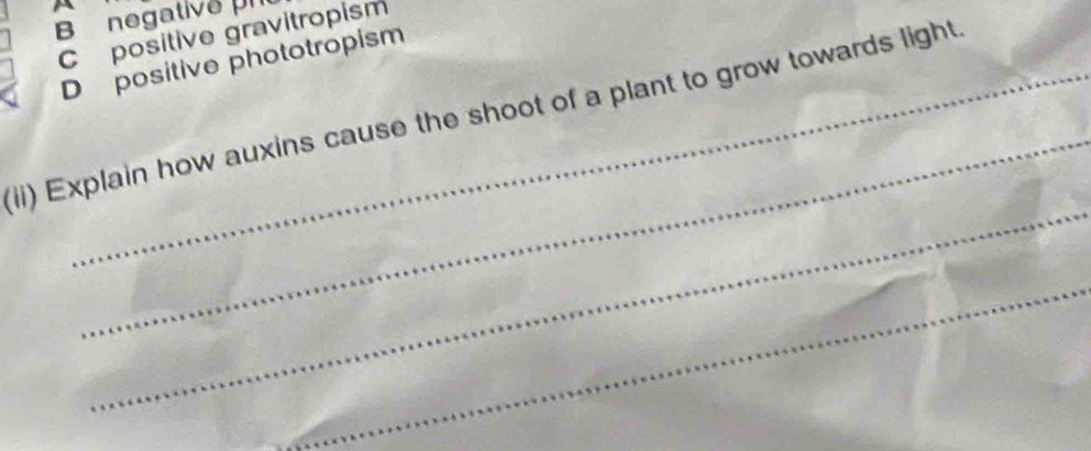 Bnegative pn
C positive gravitropism
D positive phototropism
_
(ii) Explain how auxins cause the shoot of a plant to grow towards light
_
_