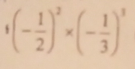 ^4(- 1/2 )^2* (- 1/3 )^3