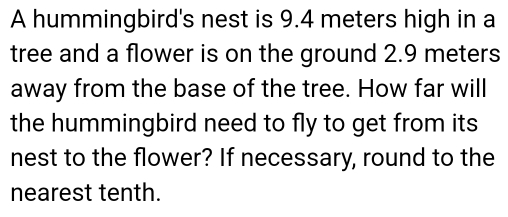 A hummingbird's nest is 9.4 meters high in a 
tree and a flower is on the ground 2.9 meters
away from the base of the tree. How far will 
the hummingbird need to fly to get from its 
nest to the flower? If necessary, round to the 
nearest tenth.